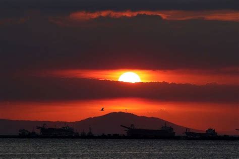 Metro heat index may reach 43 degrees today .